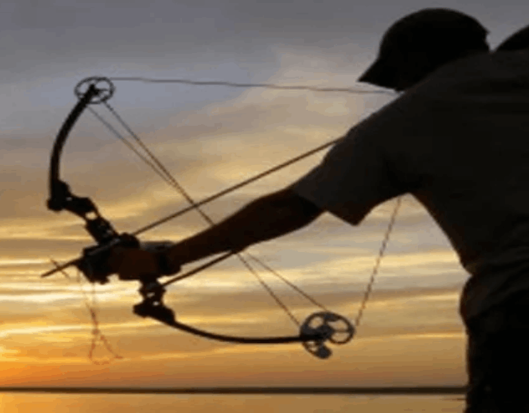 Cedar Key Bowfishing Charters